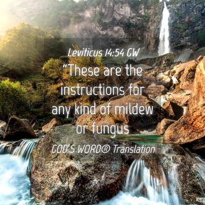 Picture 04 - Leviticus 14:54 GW - “These are the instructions for any kind of - Bible Verse Picture