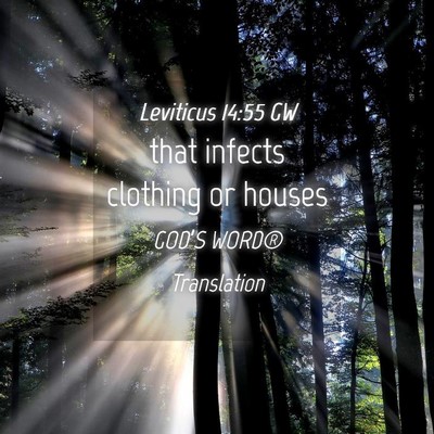Picture 04 - Leviticus 14:55 GW - that infects clothing or - Bible Verse Picture