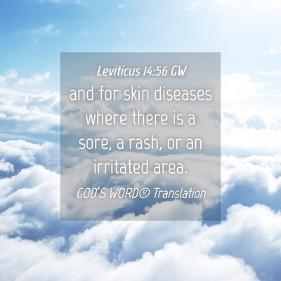 Picture 04 - Leviticus 14:56 GW - and for skin diseases where there is a sore, a - Bible Verse Picture