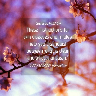 Picture 04 - Leviticus 14:57 GW - These instructions for skin diseases and mildew - Bible Verse Picture