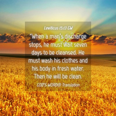 Picture 04 - Leviticus 15:13 GW - “When a man’s discharge stops, he must wait - Bible Verse Picture