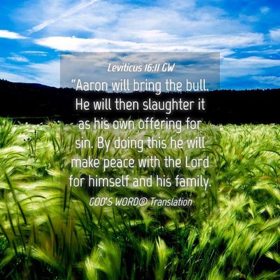 Picture 04 - Leviticus 16:11 GW - “Aaron will bring the bull. He will then - Bible Verse Picture