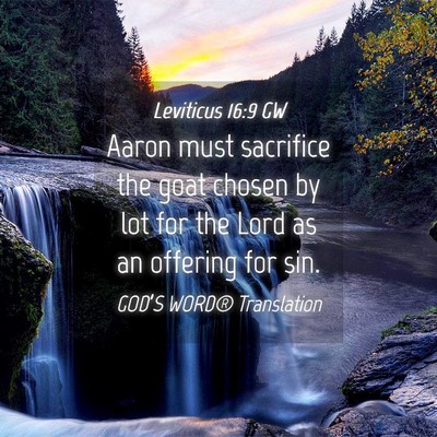 Picture 04 - Leviticus 16:9 GW - Aaron must sacrifice the goat chosen by lot for - Bible Verse Picture