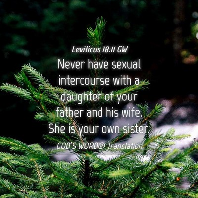 Picture 04 - Leviticus 18:11 GW - Never have sexual intercourse with a daughter of - Bible Verse Picture