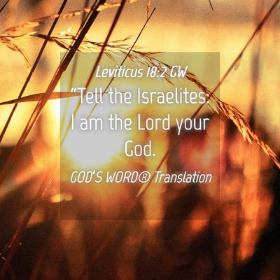 Picture 04 - Leviticus 18:2 GW - “Tell the Israelites: I am the Lord your - Bible Verse Picture