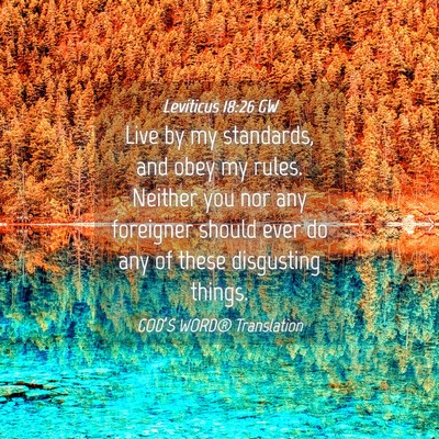 Picture 04 - Leviticus 18:26 GW - Live by my standards, and obey my rules. Neither - Bible Verse Picture