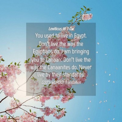Picture 04 - Leviticus 18:3 GW - You used to live in Egypt. Don’t live the way - Bible Verse Picture