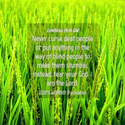 Picture 04 - Leviticus 19:14 GW - Never curse deaf people or put anything in the - Bible Verse Picture