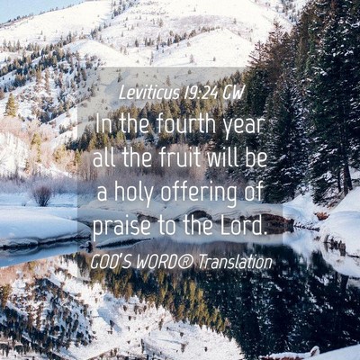 Picture 04 - Leviticus 19:24 GW - In the fourth year all the fruit will be a holy - Bible Verse Picture