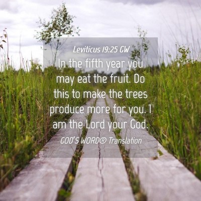 Picture 04 - Leviticus 19:25 GW - In the fifth year you may eat the fruit. Do this - Bible Verse Picture