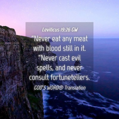 Picture 04 - Leviticus 19:26 GW - “Never eat any meat with blood still in it. - Bible Verse Picture