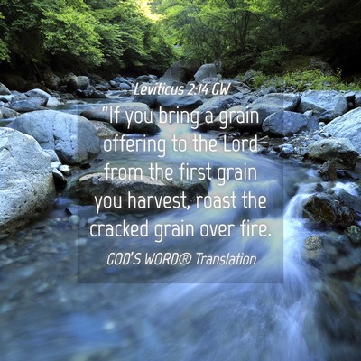 Picture 04 - Leviticus 2:14 GW - “If you bring a grain offering to the Lord from - Bible Verse Picture