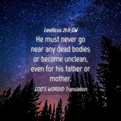 Picture 04 - Leviticus 21:11 GW - He must never go near any dead bodies or become - Bible Verse Picture