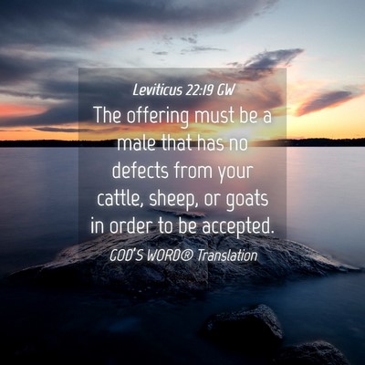 Picture 04 - Leviticus 22:19 GW - The offering must be a male that has no defects - Bible Verse Picture