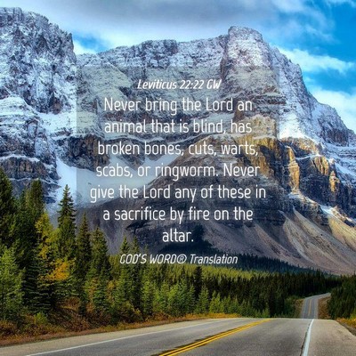 Picture 04 - Leviticus 22:22 GW - Never bring the Lord an animal that is blind, has - Bible Verse Picture
