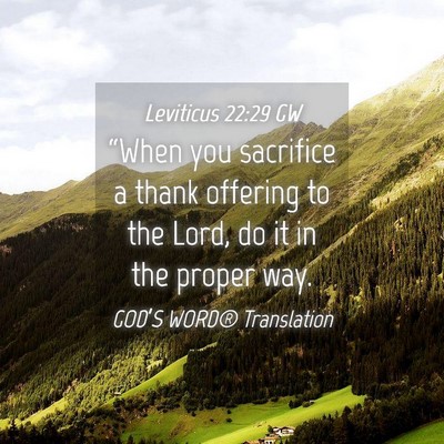 Picture 04 - Leviticus 22:29 GW - “When you sacrifice a thank offering to the - Bible Verse Picture