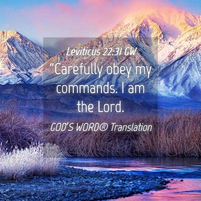 Picture 04 - Leviticus 22:31 GW - “Carefully obey my commands. I am the - Bible Verse Picture