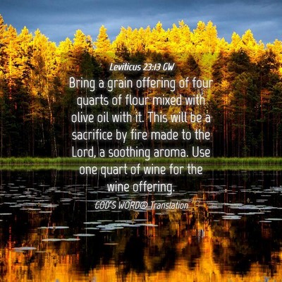 Picture 04 - Leviticus 23:13 GW - Bring a grain offering of four quarts of flour - Bible Verse Picture