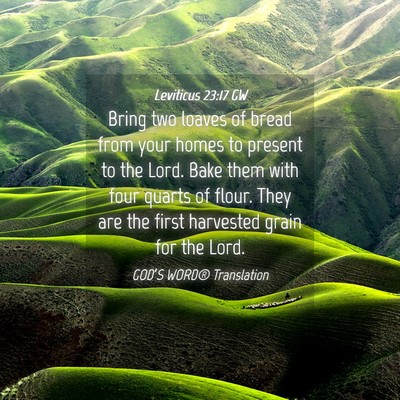 Picture 04 - Leviticus 23:17 GW - Bring two loaves of bread from your homes to - Bible Verse Picture