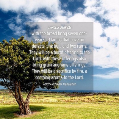 Picture 04 - Leviticus 23:18 GW - With the bread bring seven one-year-old lambs - Bible Verse Picture