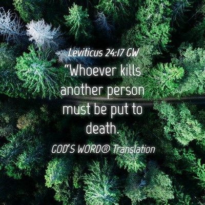 Picture 04 - Leviticus 24:17 GW - “Whoever kills another person must be put to - Bible Verse Picture