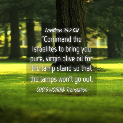 Picture 04 - Leviticus 24:2 GW - “Command the Israelites to bring you pure, - Bible Verse Picture
