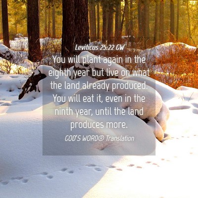 Picture 04 - Leviticus 25:22 GW - You will plant again in the eighth year but live - Bible Verse Picture