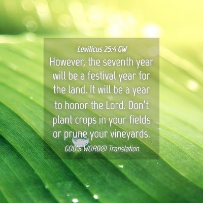 Picture 04 - Leviticus 25:4 GW - However, the seventh year will be a festival year - Bible Verse Picture