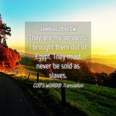 Picture 04 - Leviticus 25:42 GW - They are my servants. I brought them out of - Bible Verse Picture