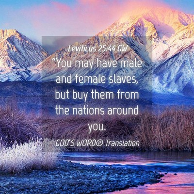 Picture 04 - Leviticus 25:44 GW - “You may have male and female slaves, but buy - Bible Verse Picture