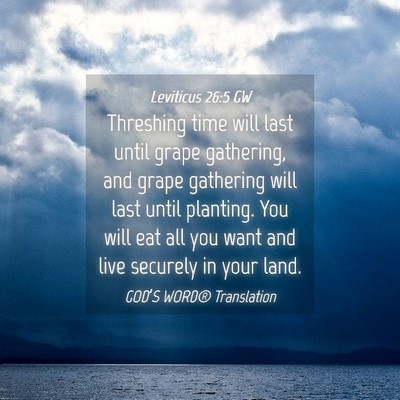 Picture 04 - Leviticus 26:5 GW - Threshing time will last until grape gathering, - Bible Verse Picture