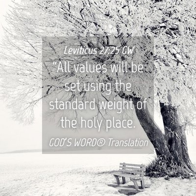 Picture 04 - Leviticus 27:25 GW - “All values will be set using the standard - Bible Verse Picture