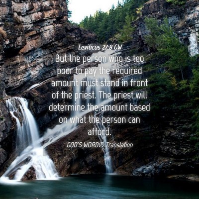 Picture 04 - Leviticus 27:8 GW - But the person who is too poor to pay the - Bible Verse Picture