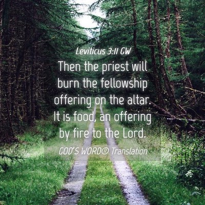 Picture 04 - Leviticus 3:11 GW - Then the priest will burn the fellowship offering - Bible Verse Picture
