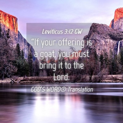 Picture 04 - Leviticus 3:12 GW - “If your offering is a goat, you must bring it - Bible Verse Picture