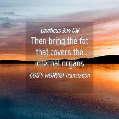 Picture 04 - Leviticus 3:14 GW - Then bring the fat that covers the internal - Bible Verse Picture
