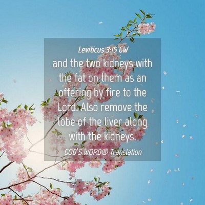 Picture 04 - Leviticus 3:15 GW - and the two kidneys with the fat on them as an - Bible Verse Picture