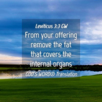 Picture 04 - Leviticus 3:3 GW - From your offering remove the fat that covers the - Bible Verse Picture