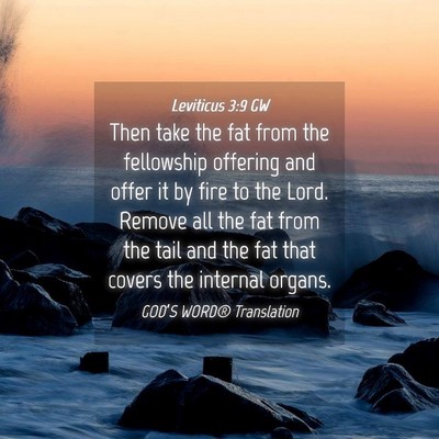 Picture 04 - Leviticus 3:9 GW - Then take the fat from the fellowship offering - Bible Verse Picture