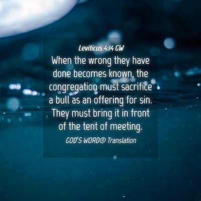 Picture 04 - Leviticus 4:14 GW - When the wrong they have done becomes known, the - Bible Verse Picture