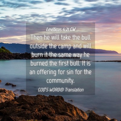 Picture 04 - Leviticus 4:21 GW - Then he will take the bull outside the camp and - Bible Verse Picture