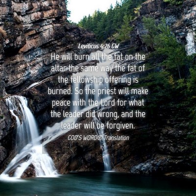Picture 04 - Leviticus 4:26 GW - He will burn all the fat on the altar the same - Bible Verse Picture