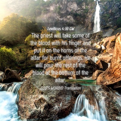 Picture 04 - Leviticus 4:30 GW - The priest will take some of the blood with his - Bible Verse Picture