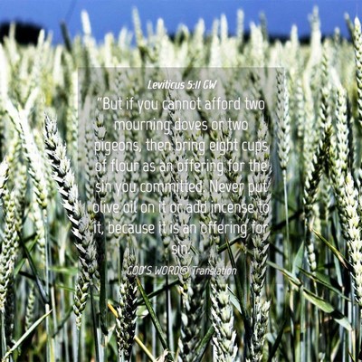 Picture 04 - Leviticus 5:11 GW - “But if you cannot afford two mourning doves or - Bible Verse Picture