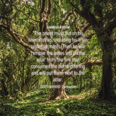 Picture 04 - Leviticus 6:10 GW - “The priest must put on his linen clothes, - Bible Verse Picture