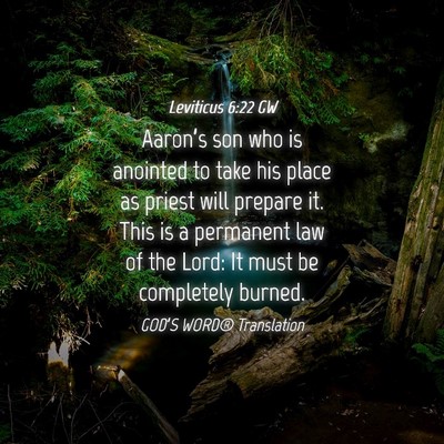 Picture 04 - Leviticus 6:22 GW - Aaron’s son who is anointed to take his place - Bible Verse Picture