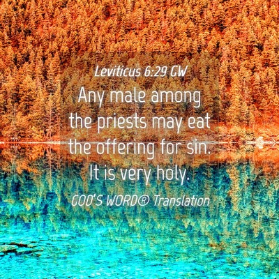 Picture 04 - Leviticus 6:29 GW - Any male among the priests may eat the offering - Bible Verse Picture