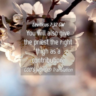 Picture 04 - Leviticus 7:32 GW - You will also give the priest the right thigh as - Bible Verse Picture