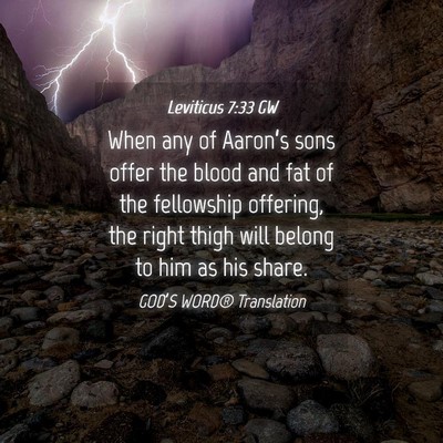 Picture 04 - Leviticus 7:33 GW - When any of Aaron’s sons offer the blood and - Bible Verse Picture
