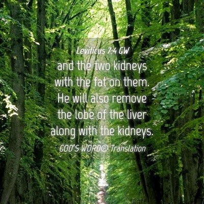 Picture 04 - Leviticus 7:4 GW - and the two kidneys with the fat on them. He will - Bible Verse Picture